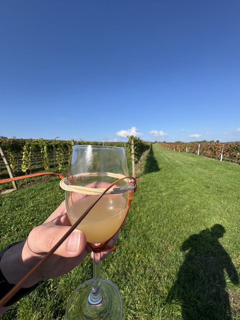 Burčákový pochod Mutěnice 2025: Podzimní putování s vůní hroznů a příchutí Moravy