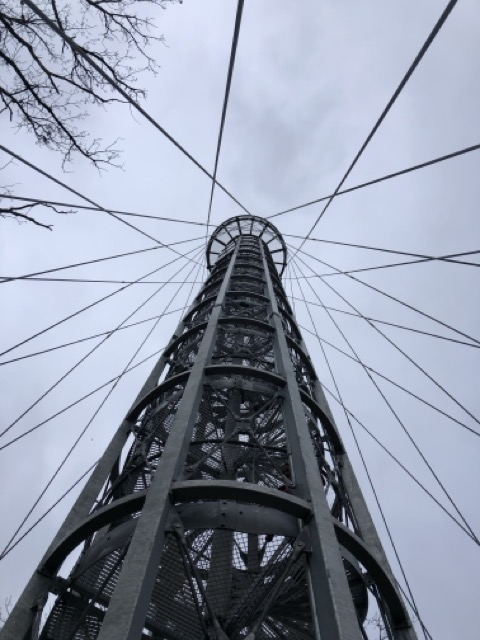 Vzhůru k výškám: Vyrazte na rozhlednu Holedná